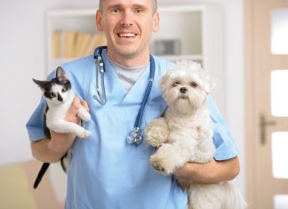 Hayvanlar için klinik seçiminde dikkat edilecekler Sağlık-Bakım