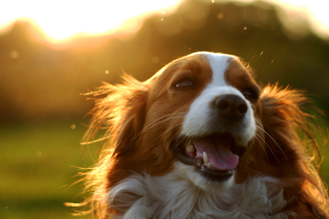 Sıcak hava tehlikelidir! Sıcak hava tehlikelidir!