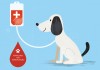 Köpekler ve kan bağışı!