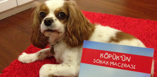 “Köpük’ün Sokak Macerası” “Köpük'ün Sokak Macerası”