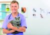 Kedilerin diş sağlığını korumanın 5 yolu!