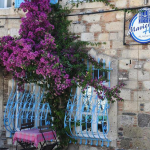 Haydi köpeğinizle birlikte Alaçatı Maviev Hotel’e!