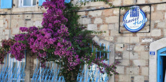 Haydi köpeğinizle birlikte Alaçatı Maviev Hotel’e! Haydi köpeğinizle birlikte Alaçatı Maviev Hotel'e!