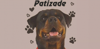 Patizade kıyafetleriyle petler çok rahat! Patizade kıyafetleriyle petler çok rahat!