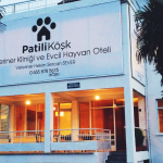 Samsun’un sevgi dolu kliniği ve pet oteli; Patili Köşk