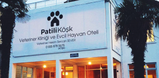 Samsun’un sevgi dolu kliniği ve pet oteli; Patili Köşk Samsun'un sevgi dolu kliniği ve pet oteli; Patili Köşk
