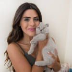 kapak