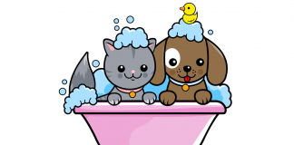 Petleri güzelleştiren en sihirli değnek; Patikür Pet Kuaför! Petleri güzelleştiren en sihirli değnek; Patikür Pet Kuaför!