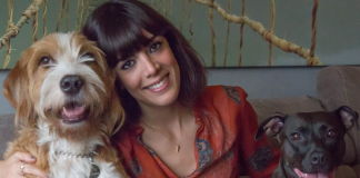 Duy, gör, hisset! Duy, gör, hisset!