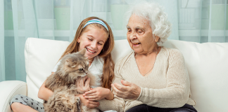 Kedi sahibi olmadan önce… Kedi sahibi olmadan önce...
