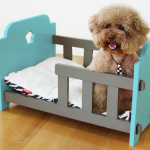 Cool petler için alışverişin adresi, Petza!