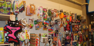 Hayvan sahiplerinin yeni adresi; Kirli Pati Petshop Hayvan sahiplerinin yeni adresi; Kirli Pati Petshop