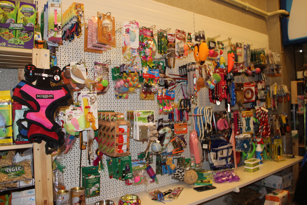 Hayvan sahiplerinin yeni adresi; Kirli Pati Petshop Hayvan sahiplerinin yeni adresi; Kirli Pati Petshop