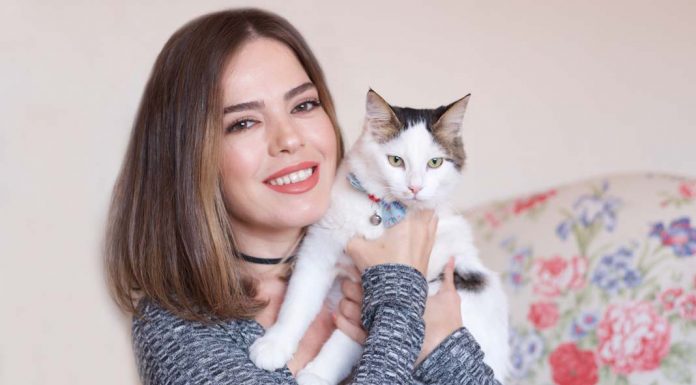 Kedi değil çocuk sahibiyim!- Merve Akaydın Kedi değil çocuk sahibiyim!- Merve Akaydın