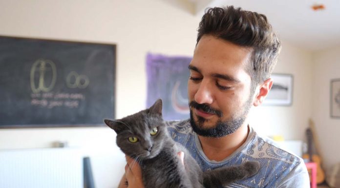 Hayvanların özellikle kedilerin enerjisi çok başka- Anıl Çelik Hayvanların özellikle kedilerin enerjisi çok başka- Anıl Çelik