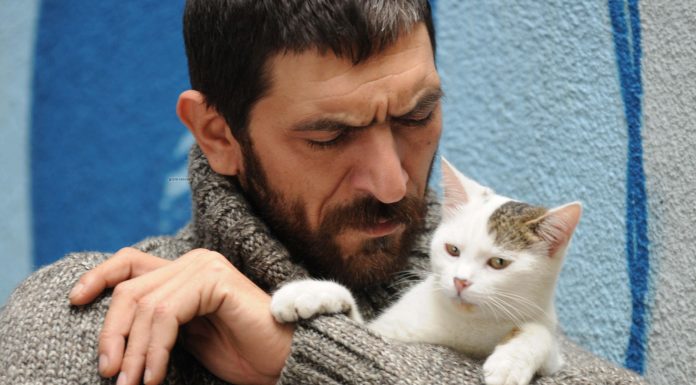 Suzi olduğu her yere değer katıyor- Ayhan Eroğlu Suzi olduğu her yere değer katıyor- Ayhan Eroğlu