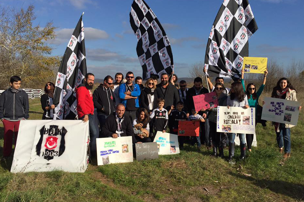 Reşadiye Ormanları'nda Çarşı rüzgarı! Reşadiye Ormanları'nda Çarşı rüzgarı!