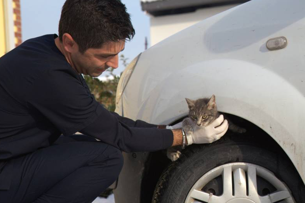 "Önce kaportana vur, sonra bir dakika dur" "Önce kaportana vur, sonra bir dakika dur"