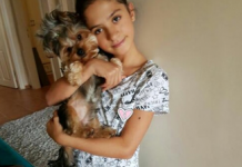 Bir köpek ve insan arasındaki bağ kimsede olamaz- Derin Peker