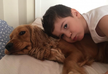 Mocha her şeyi iyileştiren köpek- Cansel Kırman Cansel Kırman