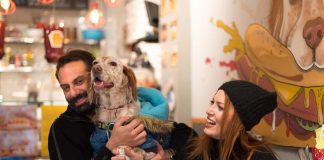 Küçük dükkanda büyük mutluluk; Jerry’s Hot Dog Küçük dükkanda büyük mutluluk; Jerry's Hot Dog