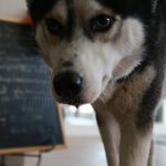 coco3