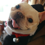 coco4