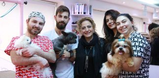 Pet kuaförlüğüne profesyonel dokunuş; MOMO Pet kuaförlüğüne profesyonel dokunuş; MOMO