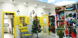 Hizmete sevgi, hayvana güzellik katan yer; Trendy Pet Saloon Trendy Pet Saloon