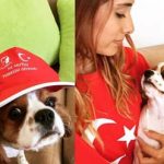 Cavalier King Charles-Wildfield Türkiyem çekilişi açıklandı!