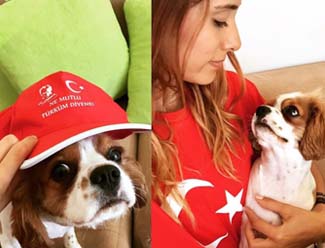 Cavalier King Charles-Wildfield Türkiyem çekilişi açıklandı!