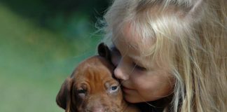 Yavru köpeklerde diş sağlığı Yavru köpeklerde diş sağlığı