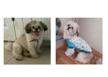 Bilinçsizlik bahane değil- Melisa Karakan