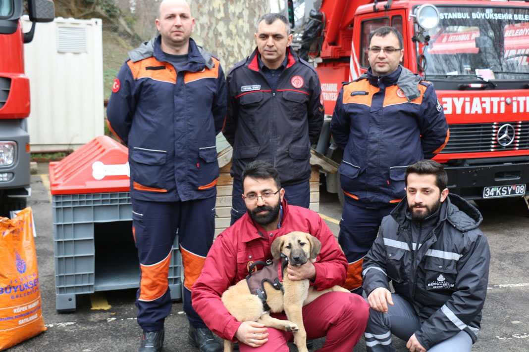 “Kuyu” köpek artık sıcak yuvasında!