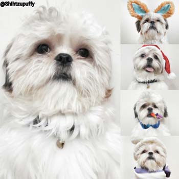 Bilinçsizlik bahane değil- Melisa Karakan