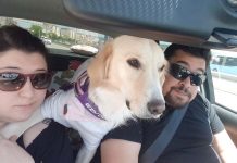 Çayın yanında yenir ki bu- Sinem Becerir Aykut