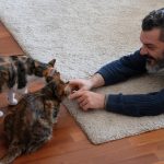 Sevgilerini ayırt etmek mümkün değil- Necmi Yapıcı