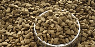 Evcil hayvan mamalarında farklı protein kaynakları