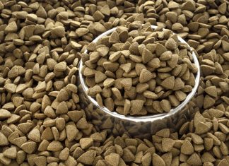 Evcil hayvan mamalarında farklı protein kaynakları