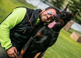 Şampiyon köpeklerin eğitmeni; Tarkan Özvardar Şampiyon köpeklerin eğitmeni; Tarkan Özvardar