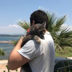 Kör kedi Bıdık yazlıkta!