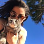 Kör kedi Bıdık yazlıkta!