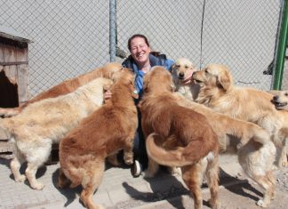 Avrupa’nın en büyük barınağı! Çankaya Belediyesi Veteriner İşleri Müdürlüğü