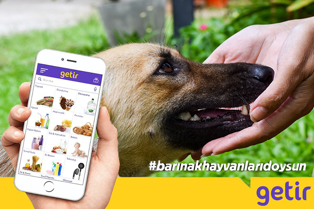 Mama gönder, barınak hayvanları doysun! Mama gönder, barınak hayvanları doysun!