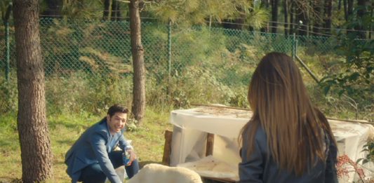 Dizilerde sokak hayvanlarına duyarlılık!