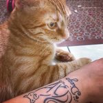 diego2