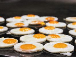 Köpeğim yumurta yiyebilir mi? Köpeğim yumurta yiyebilir mi?