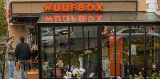 Wuufbox Daycare&Spa açıldı! Wuufbox Daycare&Spa açıldı!