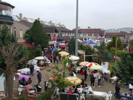 Rotary Geleneksel Bahar Şenliği Rotary Geleneksel Bahar Şenliği