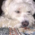 Sevilmeyi hak ediyorlar-Büşra Kunç